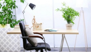 استفاده از گیاهان در دفتر کار